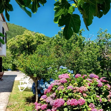 Appartement Luka By Interhome *