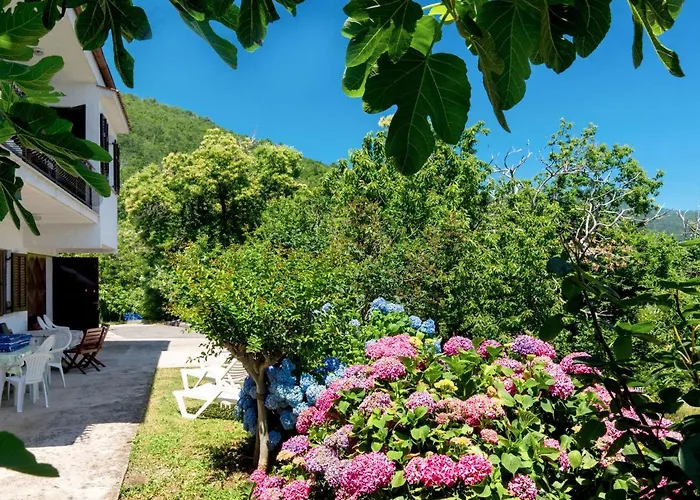 Apartmán Luka By Interhome *